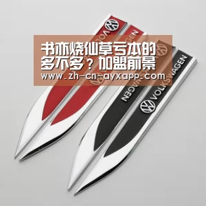 ayx爱游戏app