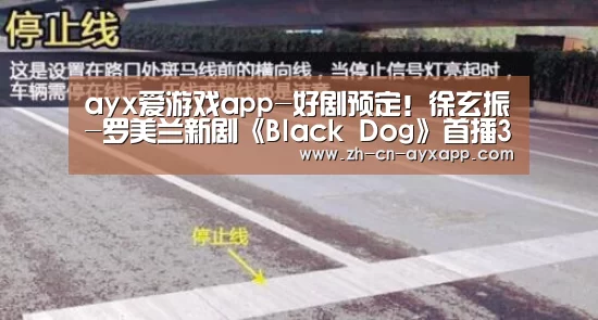 ayx爱游戏app-好剧预定!徐玄振-罗美兰新剧《Black Dog》首播3%顺利起航(图2) ayx爱游戏app