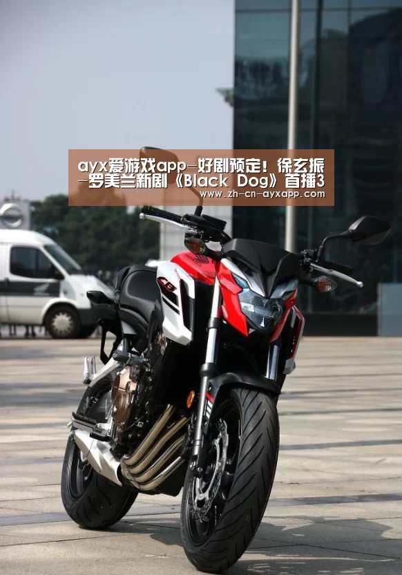 ayx爱游戏app-好剧预定!徐玄振-罗美兰新剧《Black Dog》首播3%顺利起航(图1) ayx爱游戏app