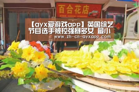ayx爱游戏app