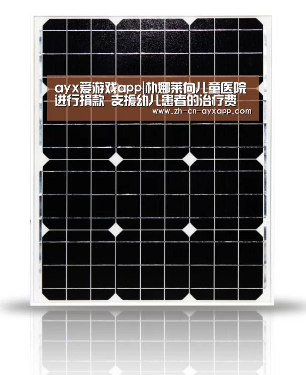 ayx爱游戏app
