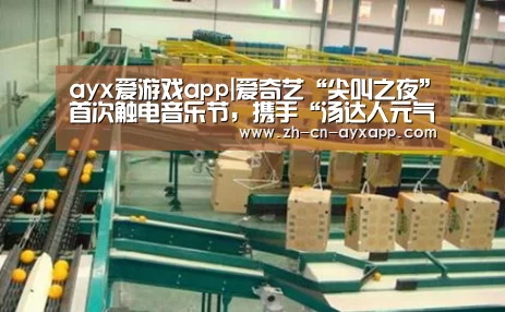 ayx爱游戏app