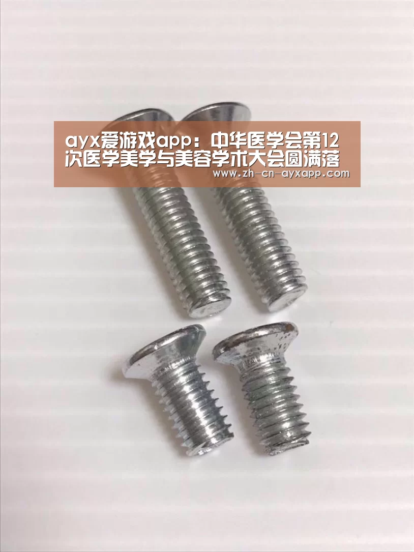 ayx爱游戏app:中华医学会第12次医学美学与美容学术大会圆满落幕(图4) ayx爱游戏app