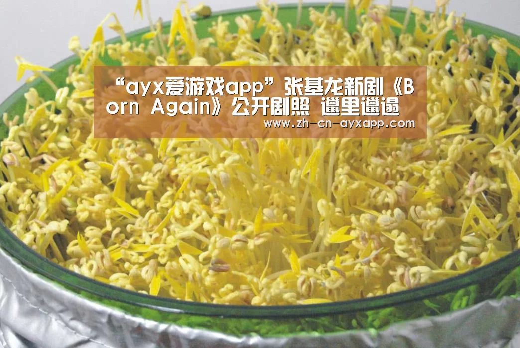 ayx爱游戏app