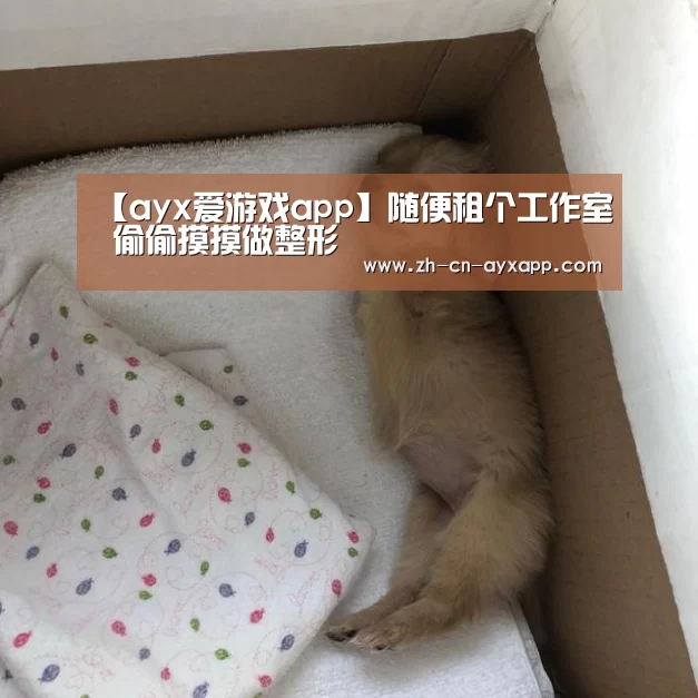 【ayx爱游戏app】随便租个工作室 偷偷摸摸做整形(图2) ayx爱游戏app