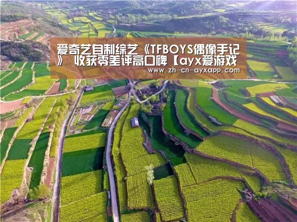 ayx爱游戏app