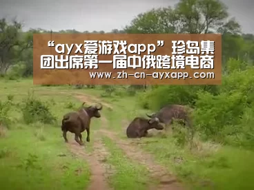 “ayx爱游戏app”珍岛集团出席第一届中俄跨境电商大会(图2) ayx爱游戏app