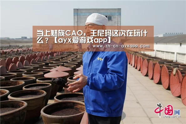 当上魅族CAO,王尼玛这次在玩什么?【ayx爱游戏app】(图2) ayx爱游戏app