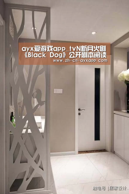 ayx爱游戏app_tvN新月火剧《Black Dog》公开剧本阅读照 徐玄振-罗美兰姐妹花出击(图1) ayx爱游戏app