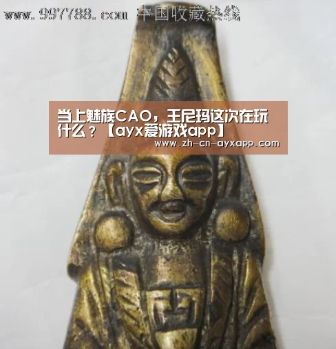 当上魅族CAO,王尼玛这次在玩什么?【ayx爱游戏app】(图1) ayx爱游戏app