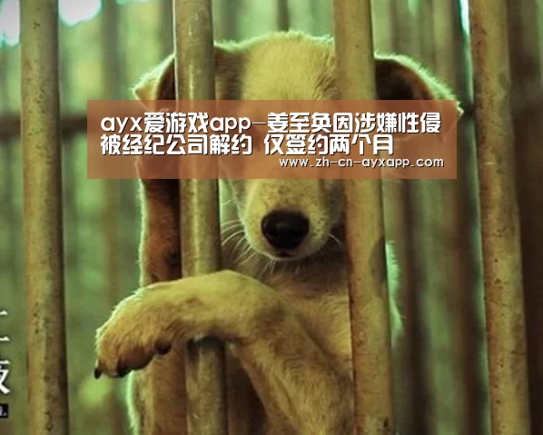 ayx爱游戏app-姜至奂因涉嫌性侵被经纪公司解约 仅签约两个月(图1) ayx爱游戏app